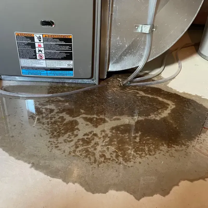 Appliance Leak Cleanup in Avery Creek, NC